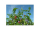 TerraLife-Landsb. Gemenge organic
