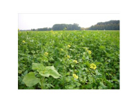 TerraLife-BioMaxx organic