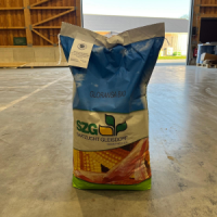 Gloranga (S230/K240)