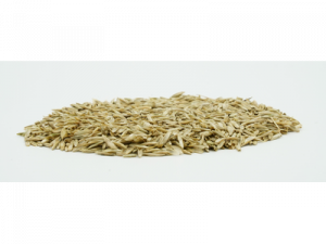 Country 2465 organic | Mnsterlnder Saatgut OHG