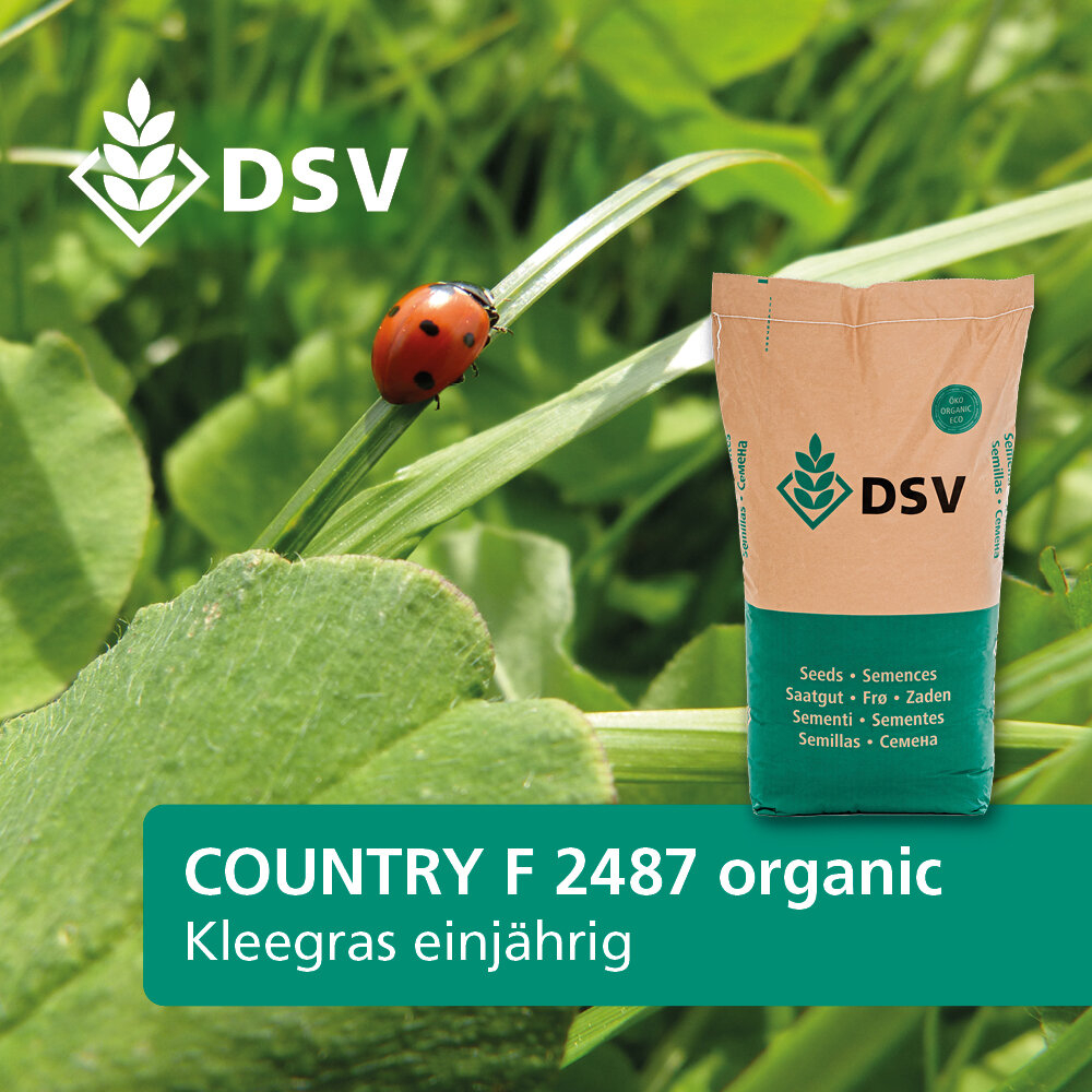Country 2485 organic Kleegras ein- bis zweijhrig | Mnsterlnder Saa